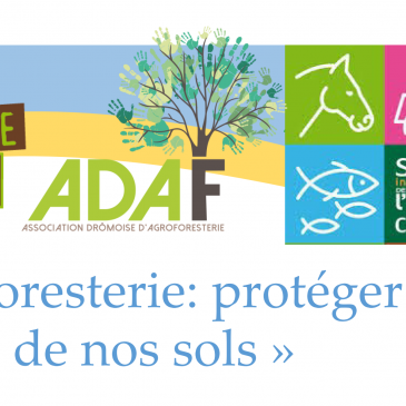 Table ronde « Agroforesterie: protéger la richesse de nos sols »