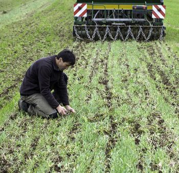 Formation SCV : Semis sous Couvert Végétal en grandes cultures et élevage