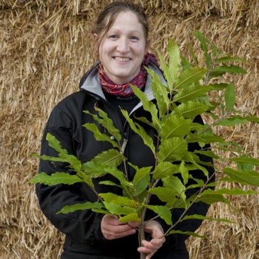 Planter, gérer et valoriser des haies!