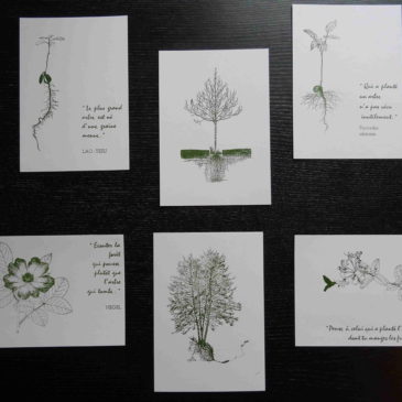 Planter un arbre en offrant une carte!