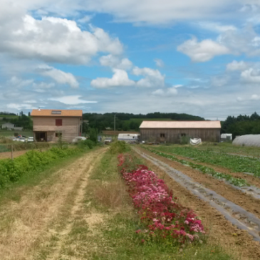 Chantier participatif pour la Biodiversité