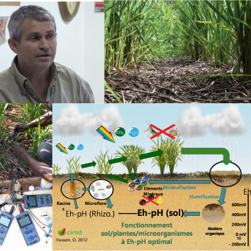 Formation “Apprendre à piloter ses sols et ses cultures via l’oxydo-réduction” avec Olivier Husson les 18 -19 février