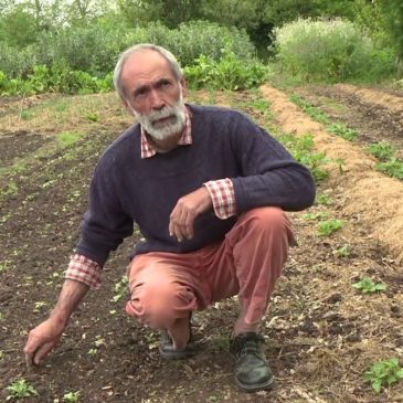 Formation “Viabilité de microfermes en MSV, en conduite manuelle ou peu mécanisée ” avec Pierre Besse les 10 et 11 février