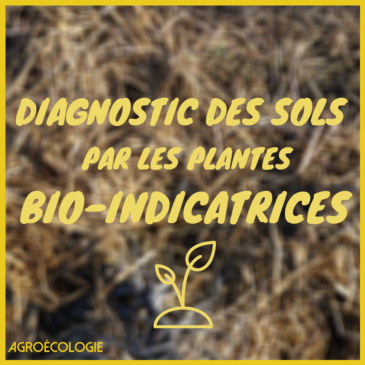 Le diagnostic des Sols par l’étude des plantes Bio-indicatrices, par Jeremy Rizoud