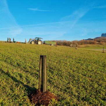 Les premiers chantiers de plantations sont terminés!