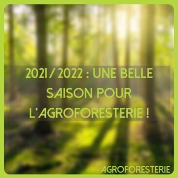 Hiver 2021/2022: une belle saison de plantation pour l’agroforesterie!