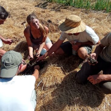 Retour sur la visite bout de champ du GIEE à la ferme des Noyers, le 14 juin 2022.