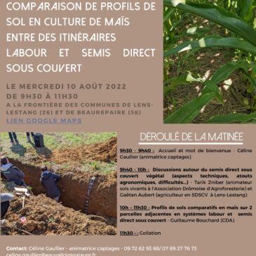 Rencontre technique – Profils de sols comparatifs entre ACS et labour en maïs – 10 août 22, Nord Drôme
