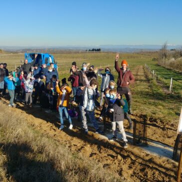 Venez planter des arbres avec nous