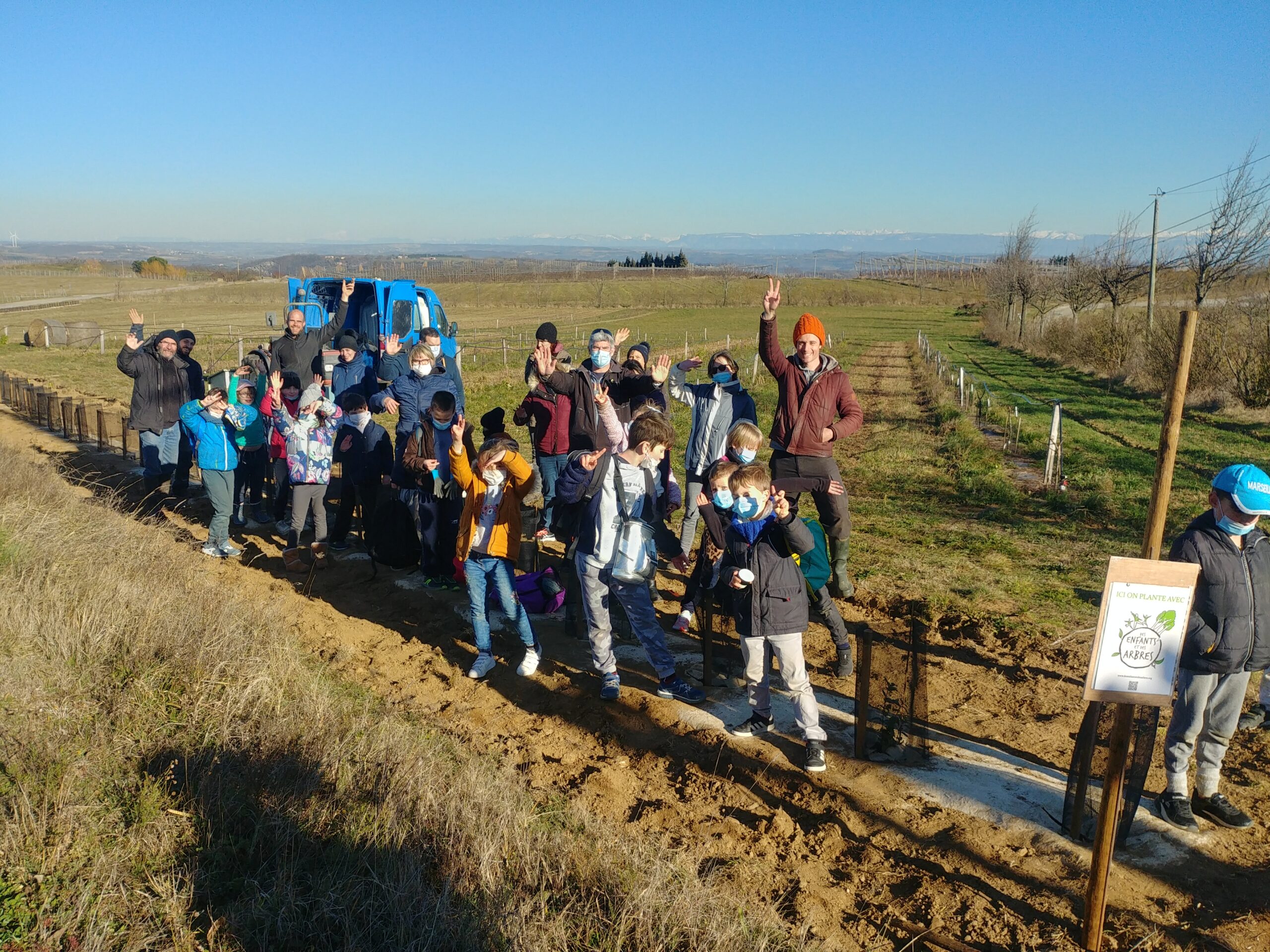 Venez planter des arbres avec nous