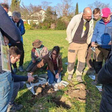 Retour sur la rencontre technique du lundi 6 mars 2023 – ACS et évaluation de la fertilité des sols