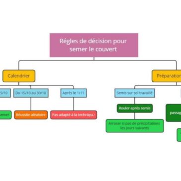 Compte-rendu de la journée technique “les couverts végétaux en maraîchage”