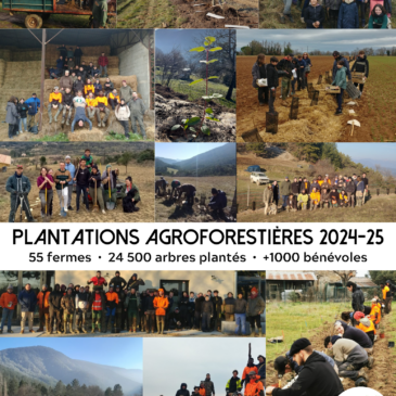 Fin de la saison de plantation 2024-2025 !