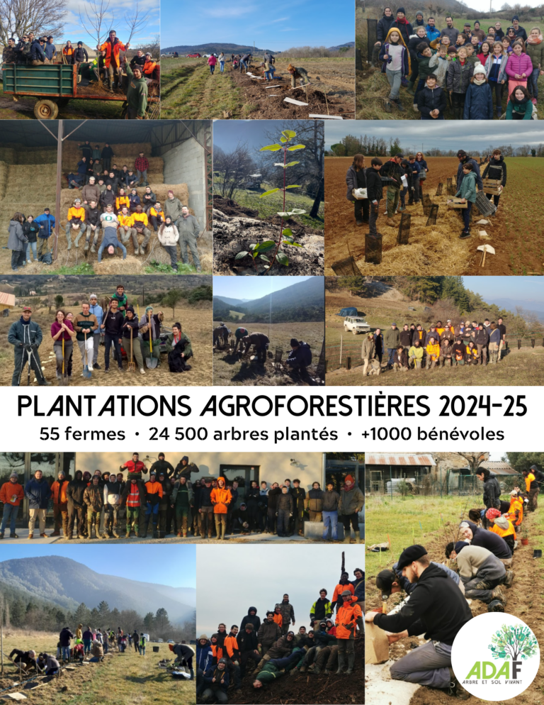 Fin de la saison de plantation 2024-2025 !