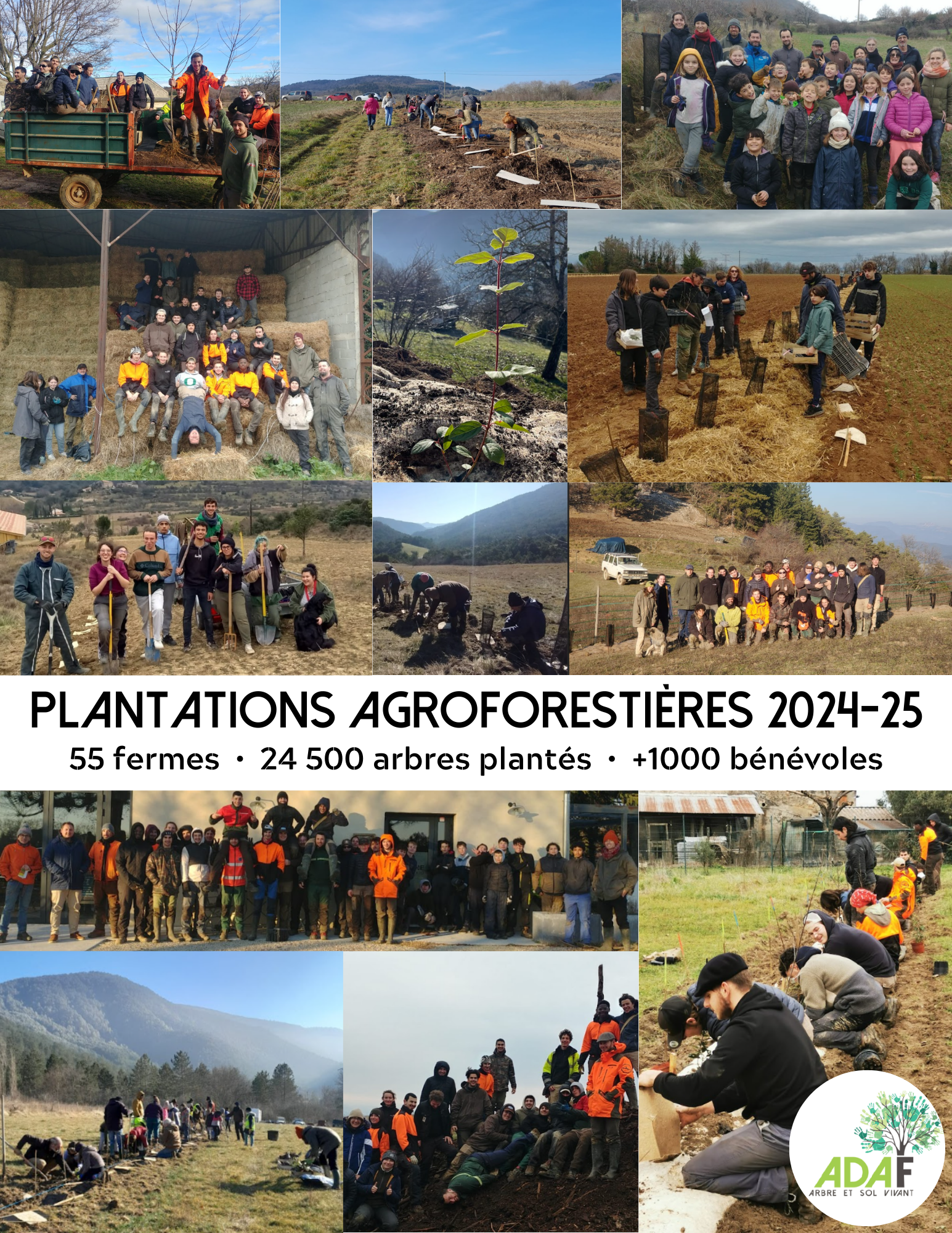 Fin de la saison de plantation 2024-2025 !