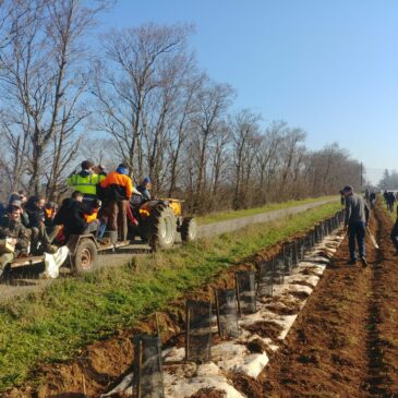 CDD 12 mois : l’ADAF recherche un.e technicien.ne conseil en agroforesterie