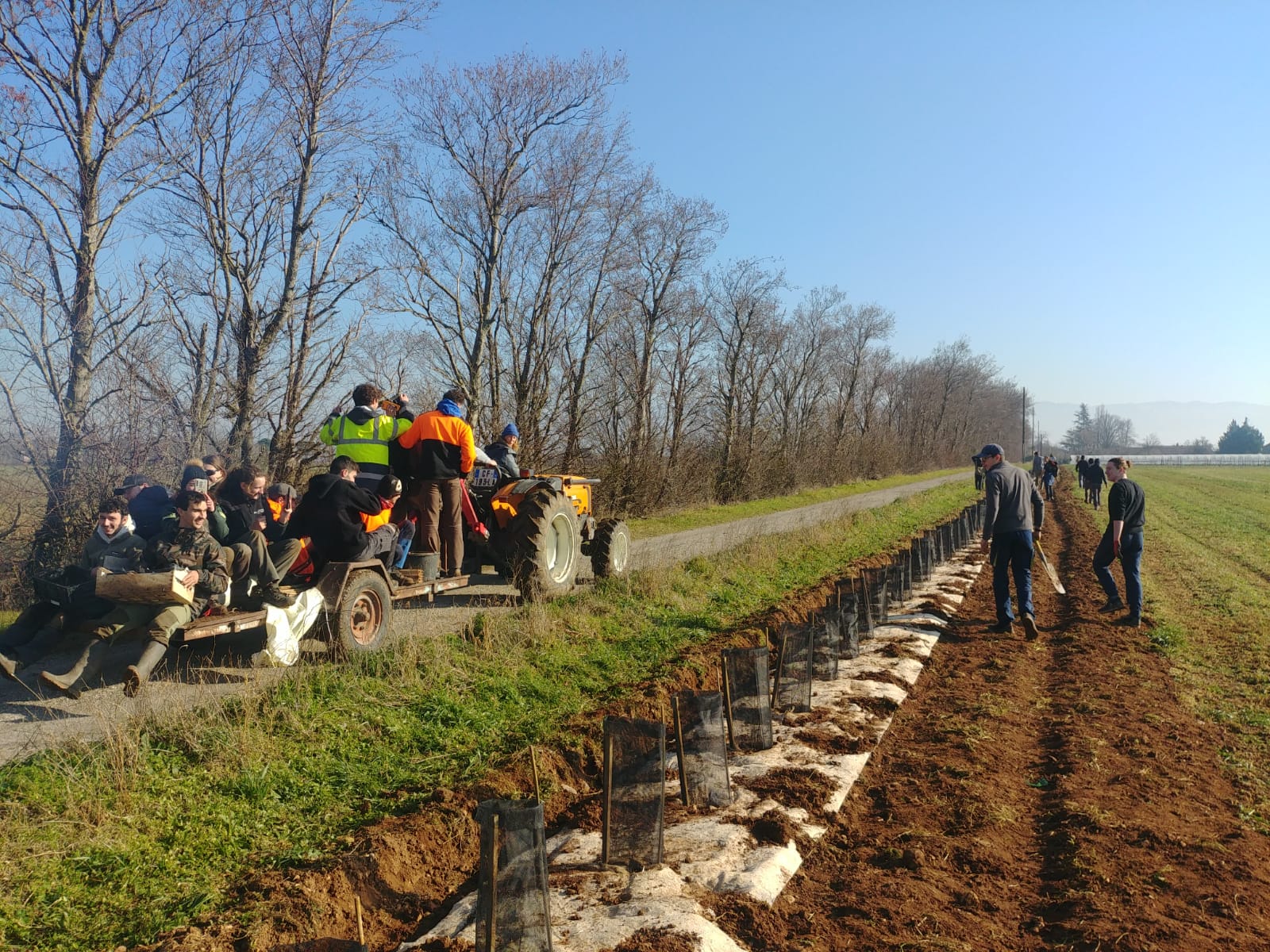 CDD 12 mois : l’ADAF recherche un.e technicien.ne conseil en agroforesterie