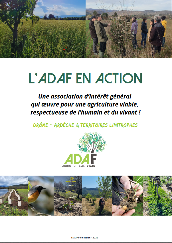 Document "L'adaf en action" pour comprendre l'histoire, les missions et la vision de l'association d'intéret général l'ADAF.