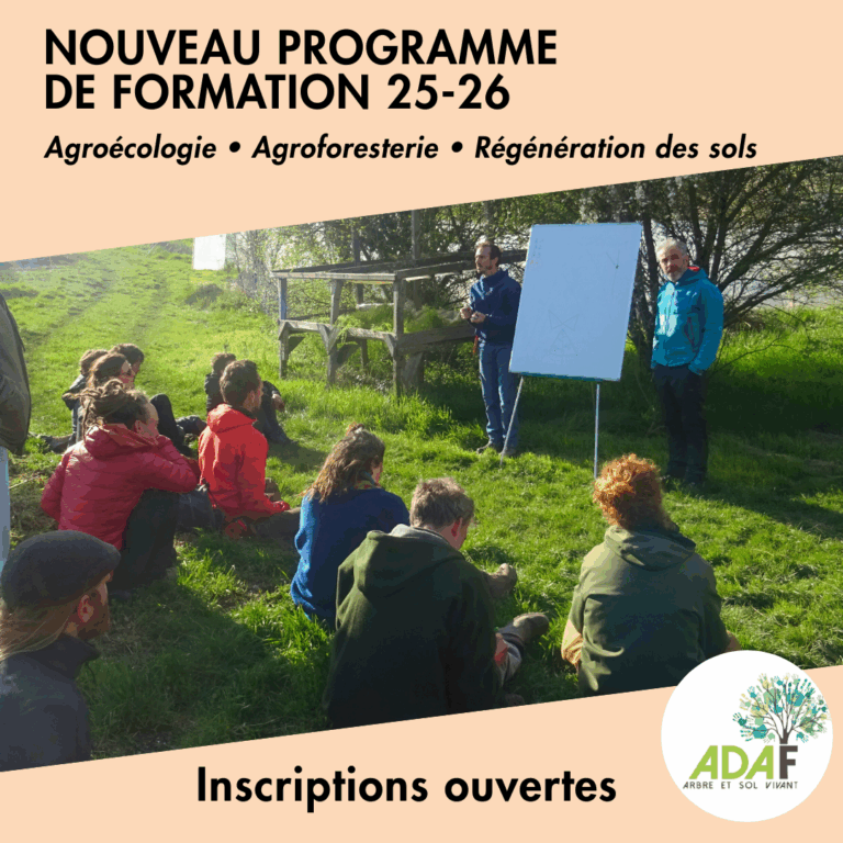 Formation : consultez le nouveau programme de cette année !