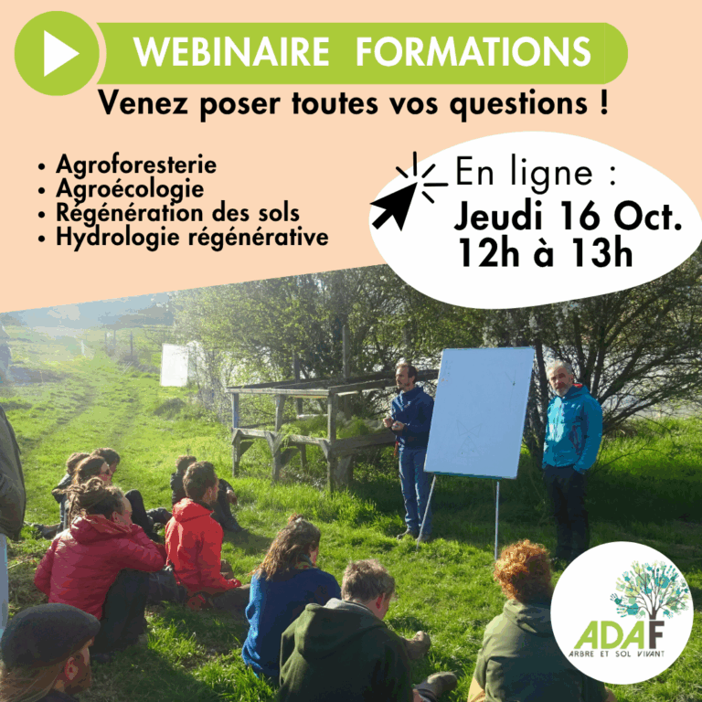 Formation : un webinaire pour tout vous expliquer !
