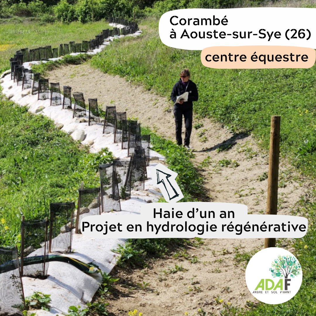 Retour sur le suivi des plantations agroforestières
