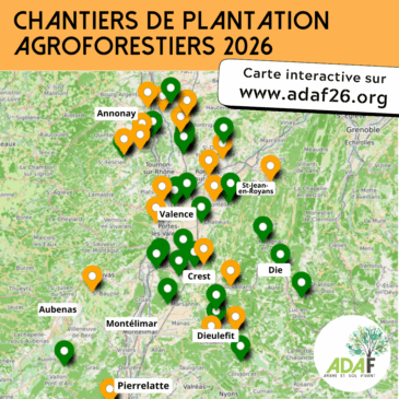 Nouvelle carte interactive des chantiers de plantation – Janvier, Février, Mars 2026