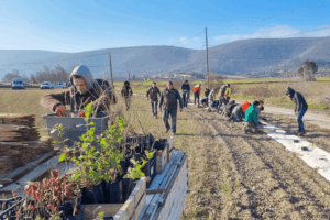Des bénévoles participe à un chantier de plantation avec l'ADAF
