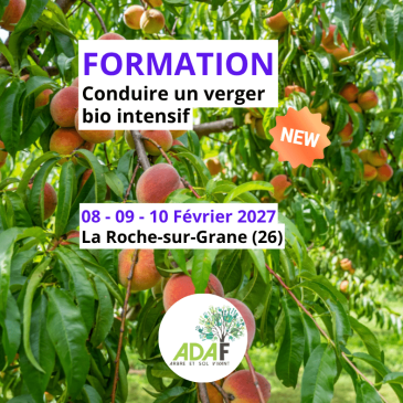 Conduire un verger bio intensif