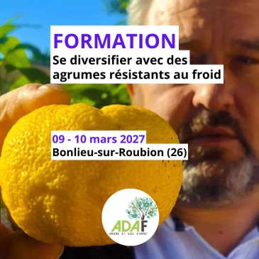 Se diversifier avec des agrumes résistants au froid