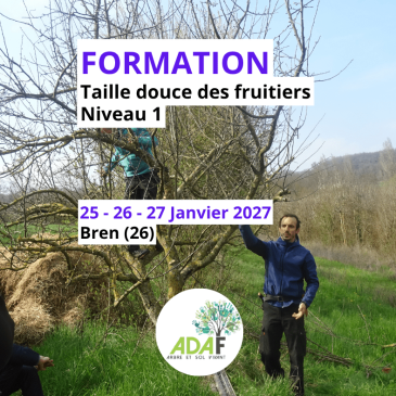 Taille douce des arbres fruitiers, Niveau 1
