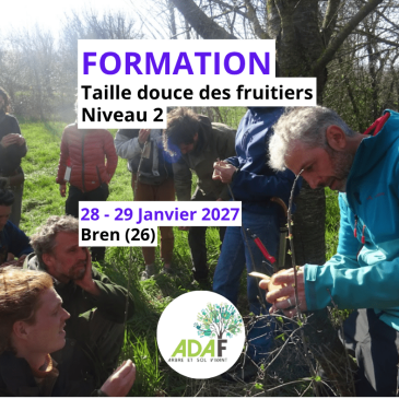 Taille douce des arbres fruitiers, Niveau 2