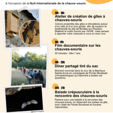 Nuit internationale de la chauve-souris