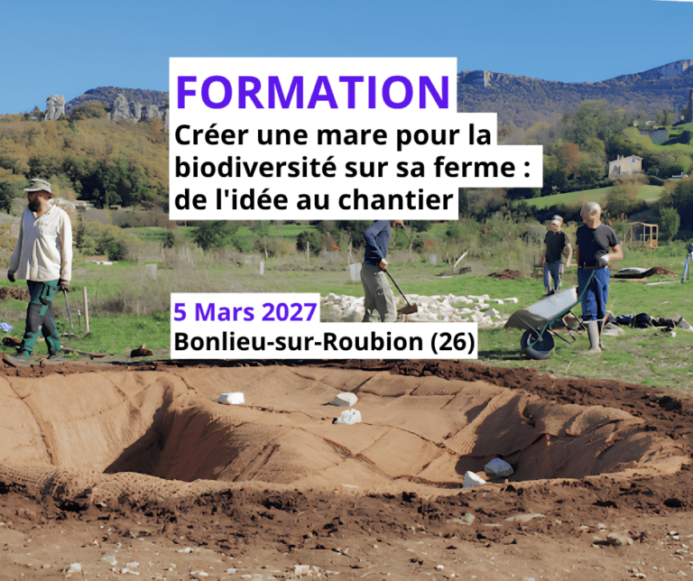 Créer une mare pour la biodiversité sur sa ferme : de l'idée au chantier