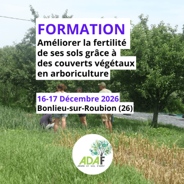 Améliorer la fertilité des sols grâce aux couverts végétaux en arboriculture