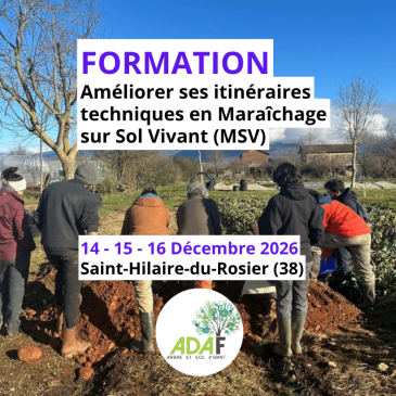 Améliorer ses itinéraires techniques en maraîchage sur sol vivant (MSV)