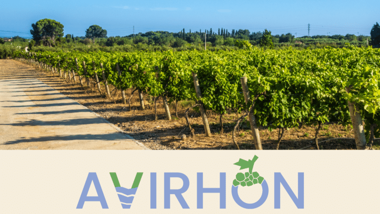 Journées techniques en viticulture – Octobre 2026